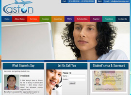 Aston Education Consultancy Web design